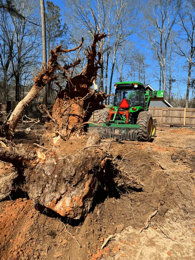 root ball 640