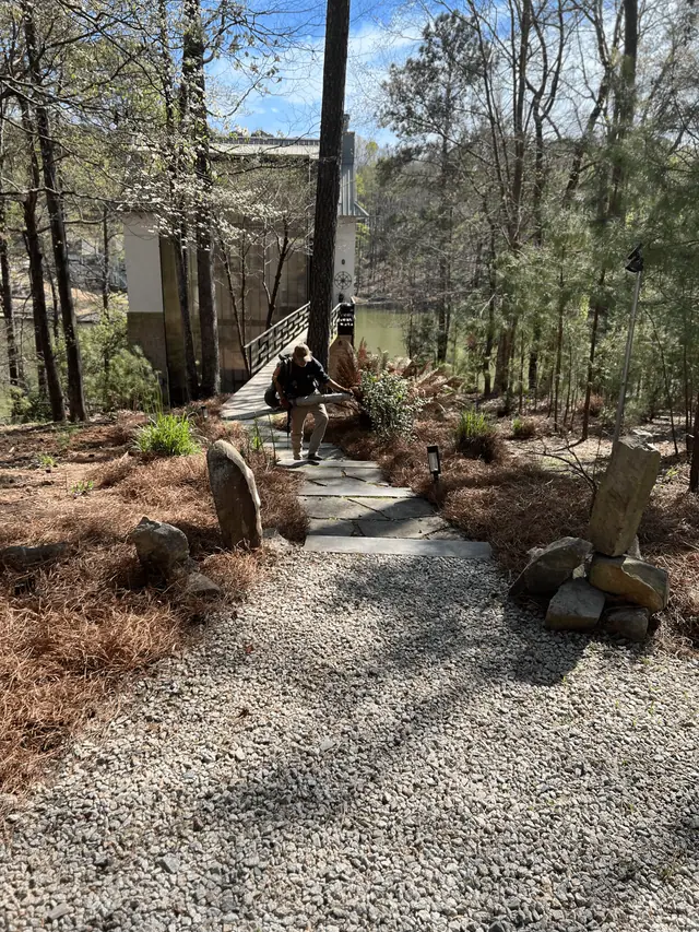pine straw path 640