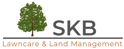 SKB Services logo