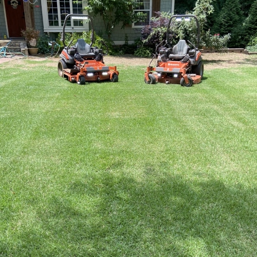 Lawn Care Services 